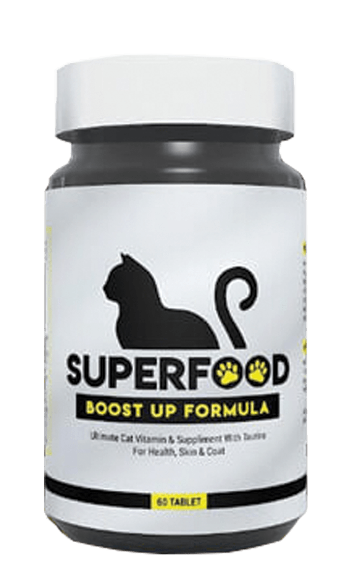 botol superfood 2019